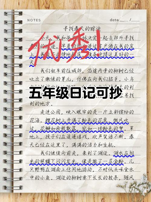 小学五年级日记200字