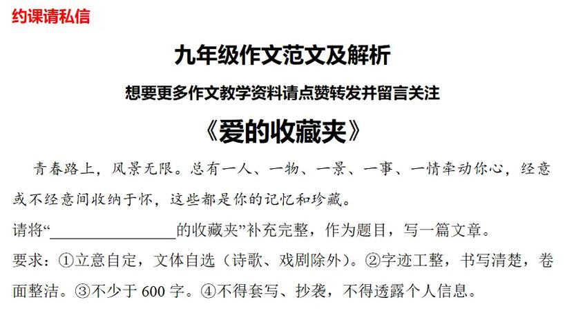 100我的收藏作文初中